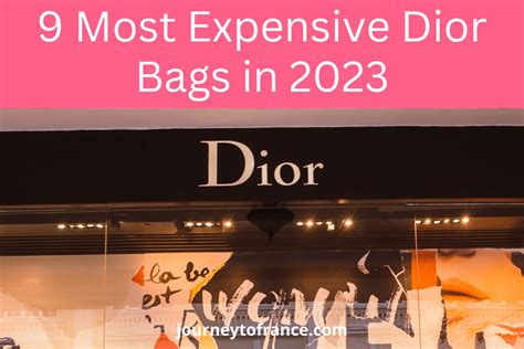 dior 300$ bag|most expensive dior bag.